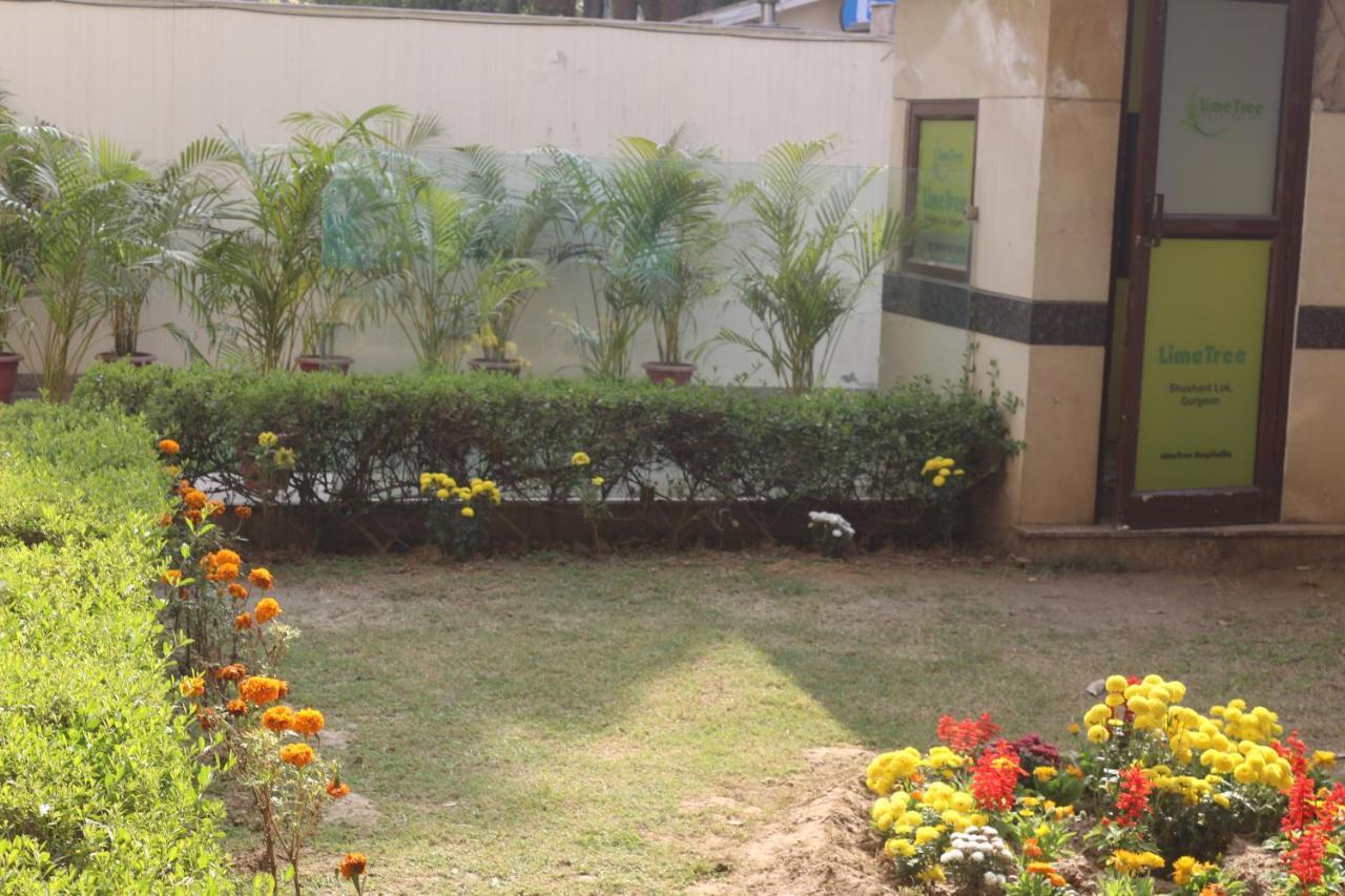 Lime Tree Hotel Sushant Lok Gurgaon Sector 29 Next To Iffco Chowk Metro Exteriör bild
